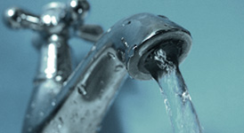 fact-water
